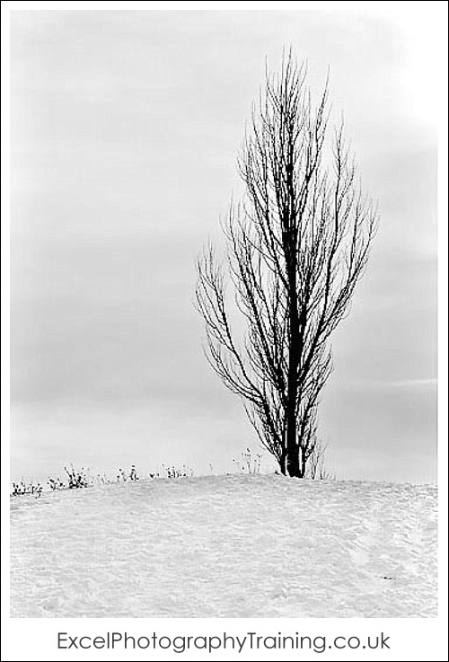 How to take photographs in the snow